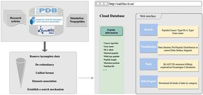 CAD v1.0: Cancer Antigens Database Platform for Cancer Antigen Algorithm Development and Information Exploration